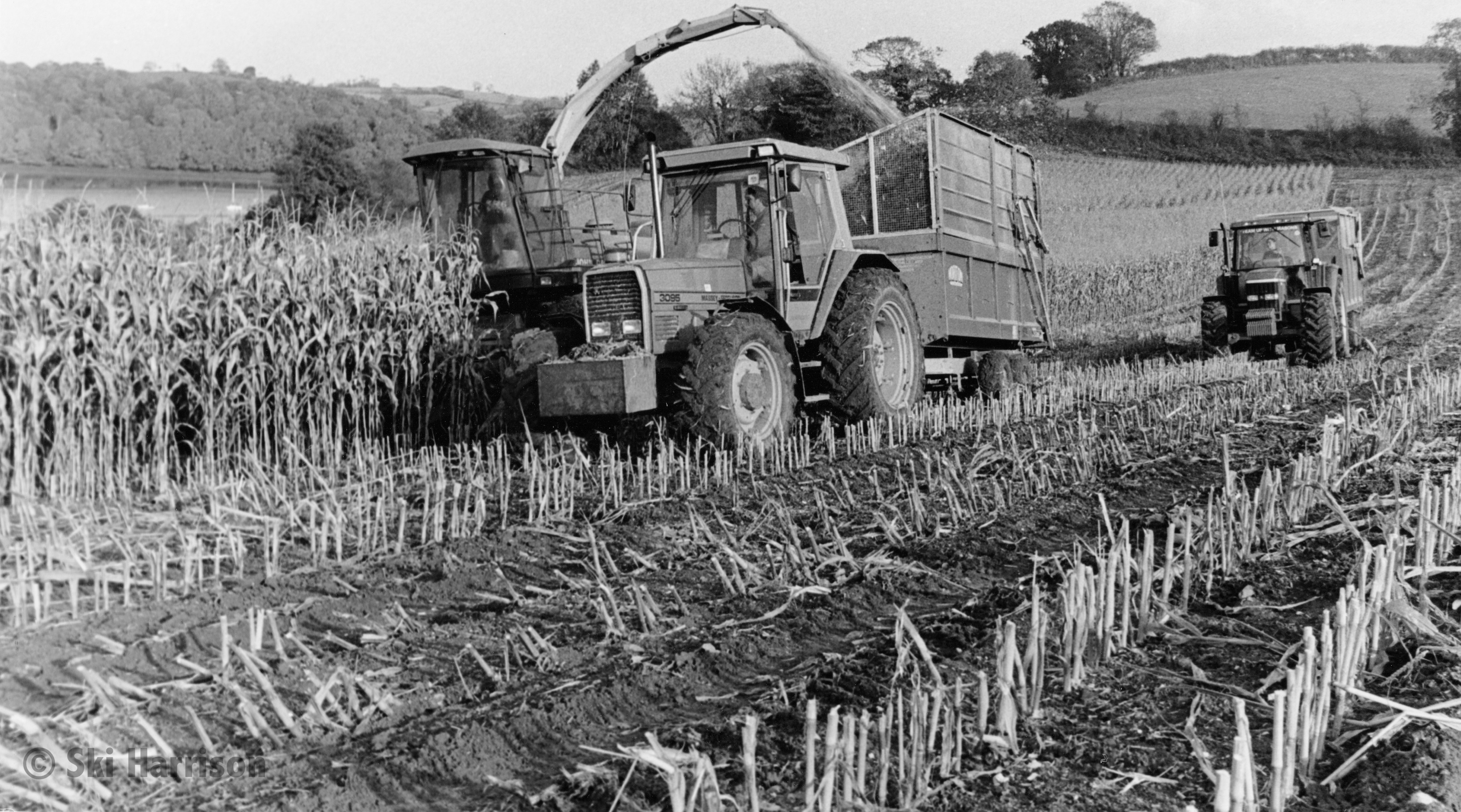 CS26 - Maize harvest for sileage for Richard Fry. East Cornworthy, 1999