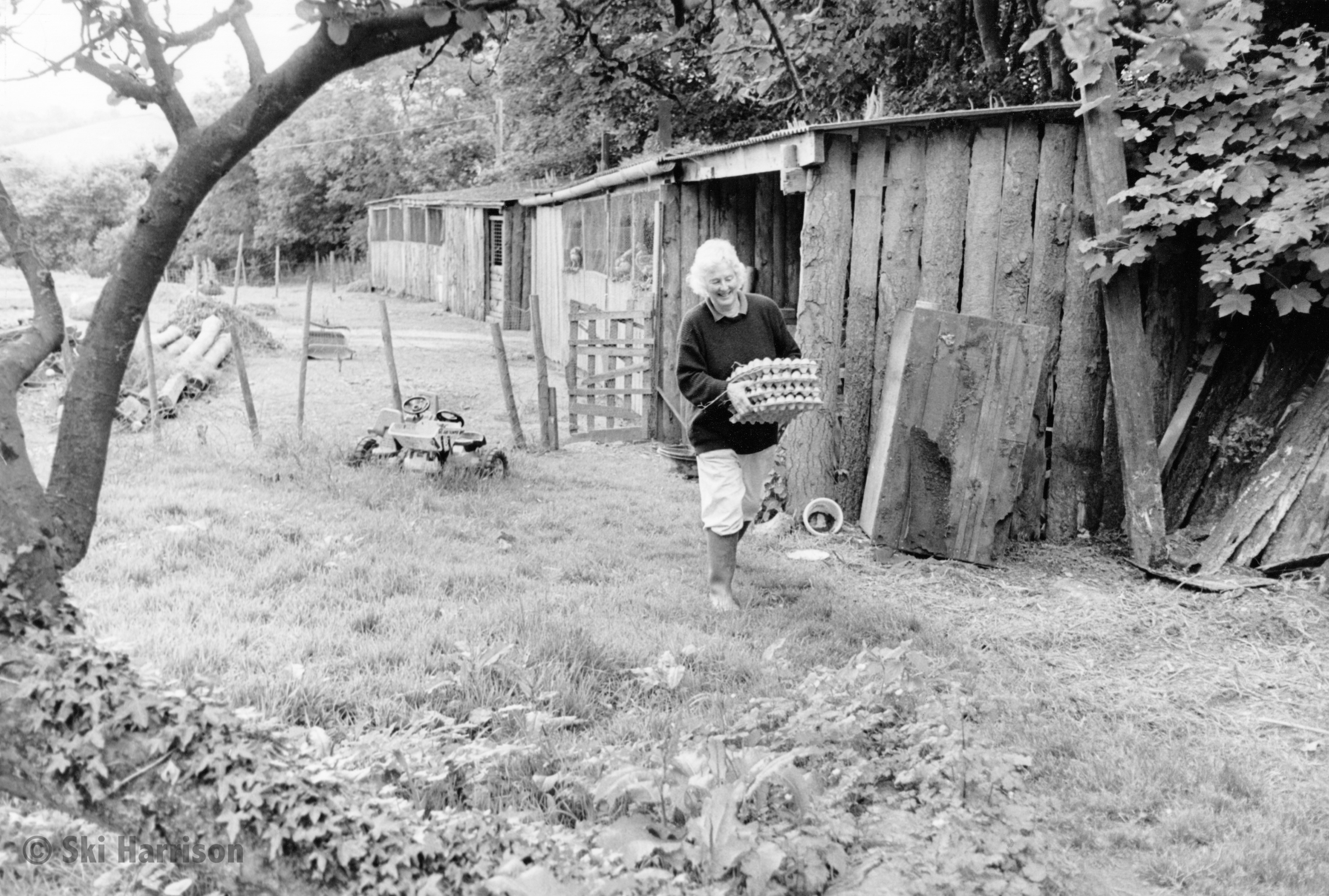 CS30 - Sue Stevenson collecting eggs for sorting. Higher Broadgates Farm. Cornworthy, 1999