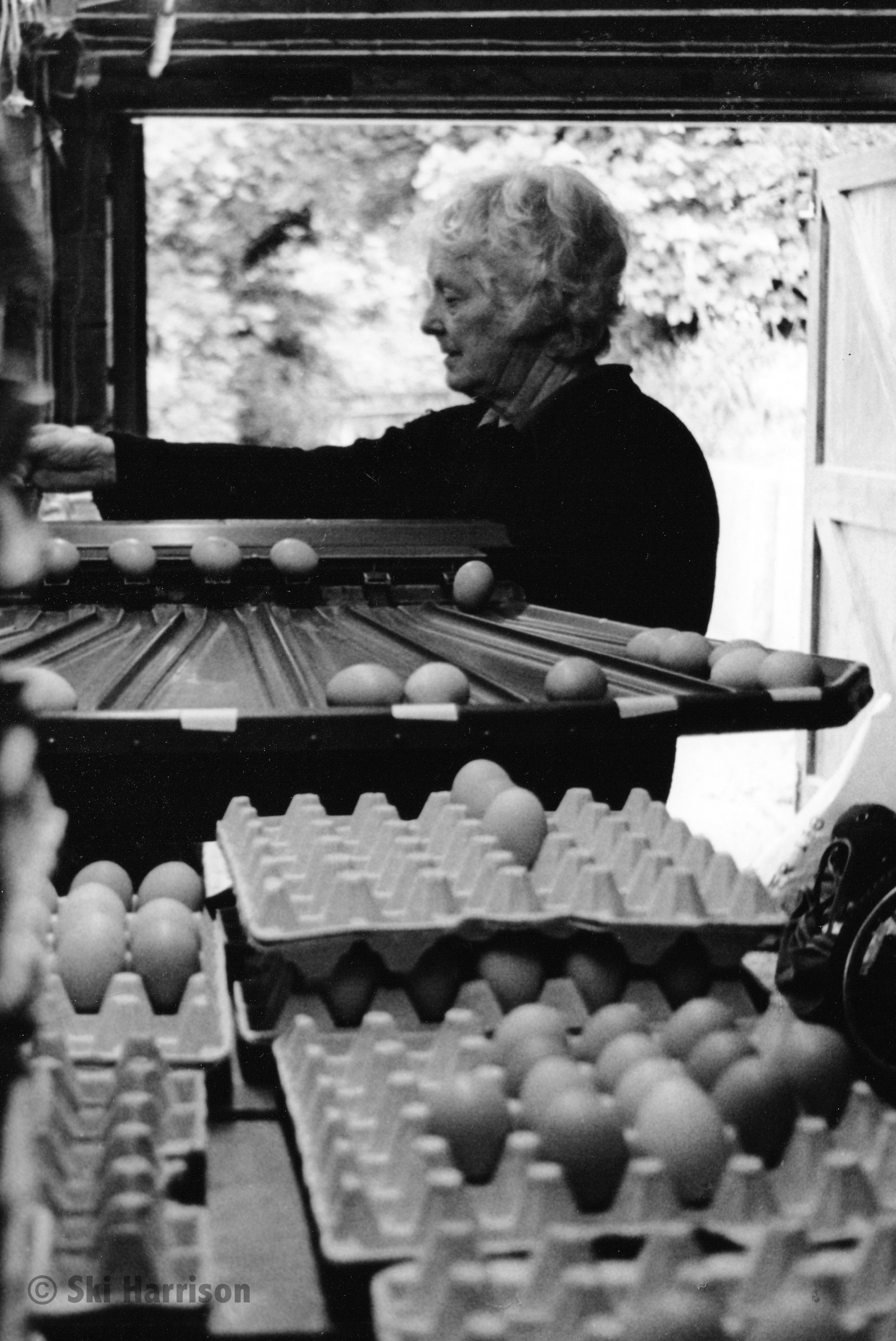 CS32 - Sue Stevenson grading eggs. Higher Broadgates Farm, 1999