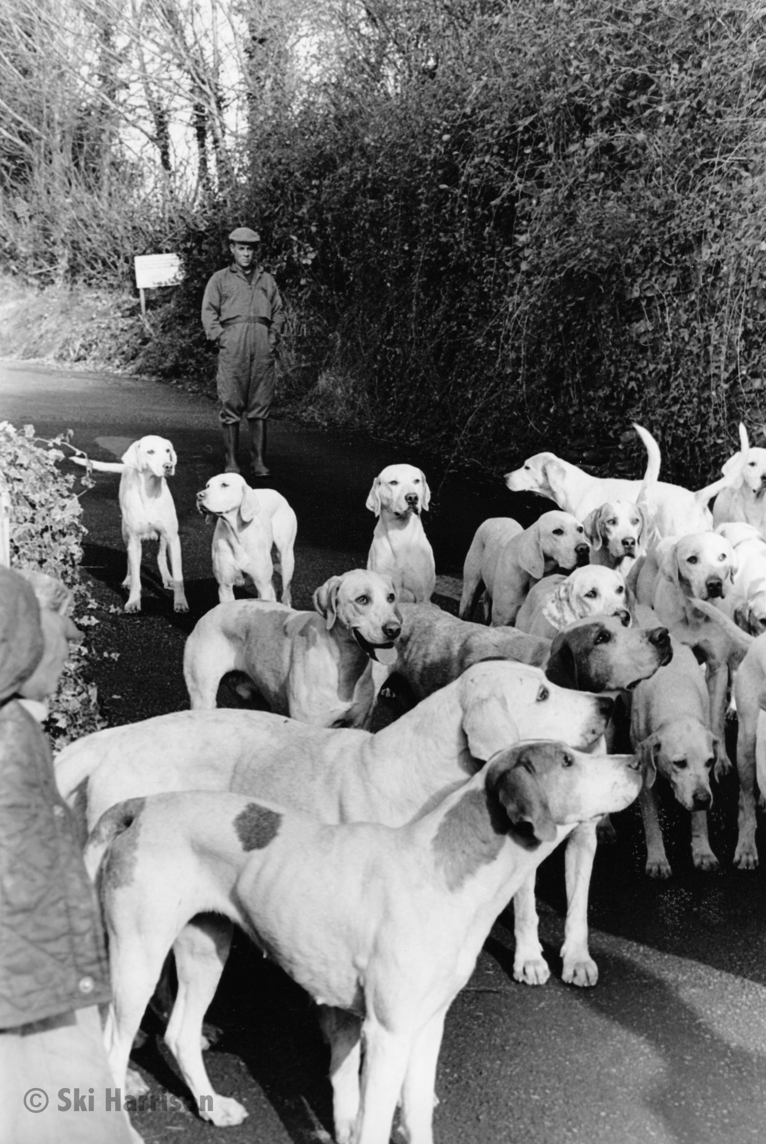 CS57 - Hounds of the Dart Vale and South Pool Harriers at the meet Hunter's Lodge, Cornworthy,1999