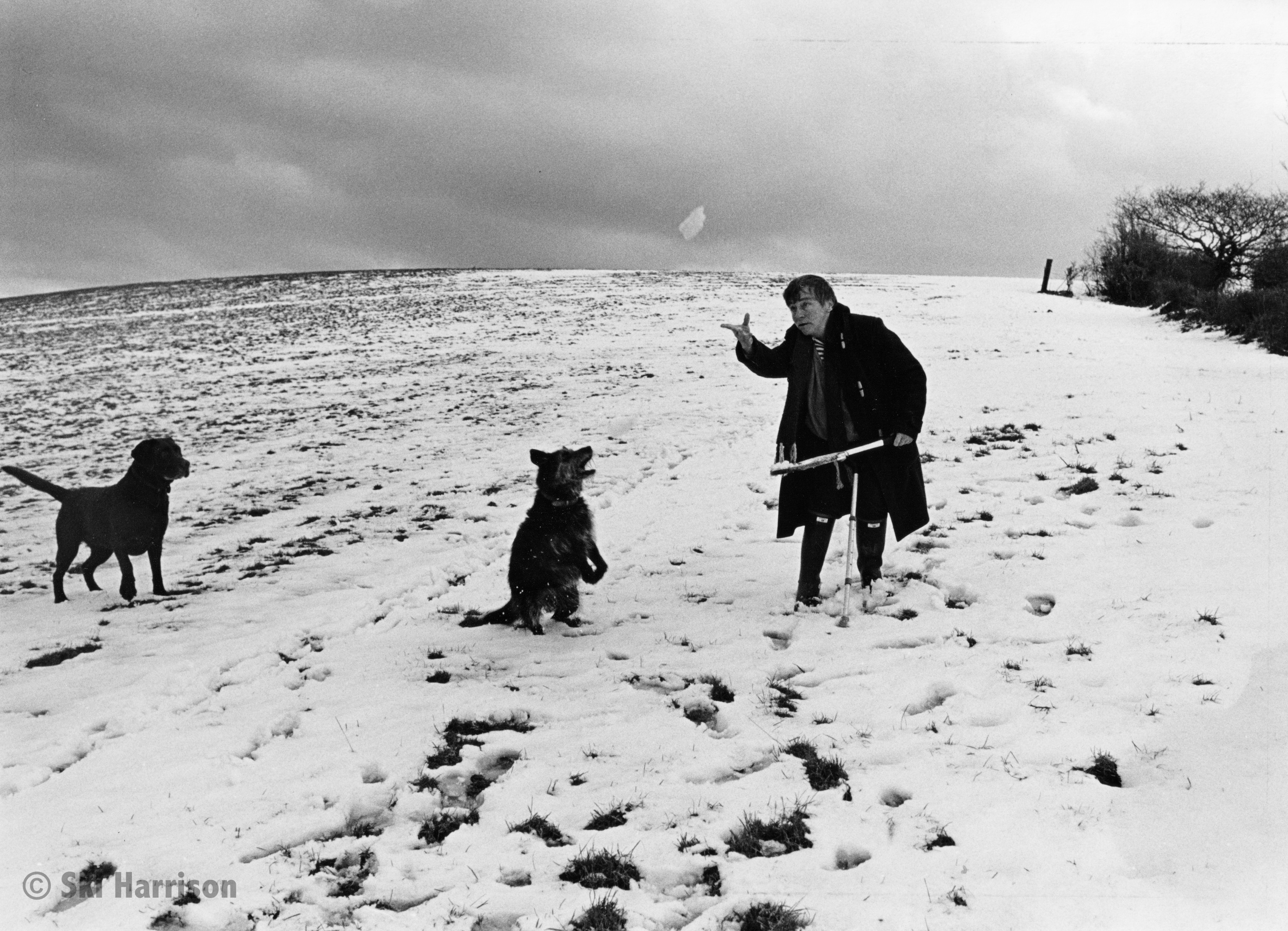 CS69 - Jane Coles walking Buttons and Cindy, Cornworthy. 1997